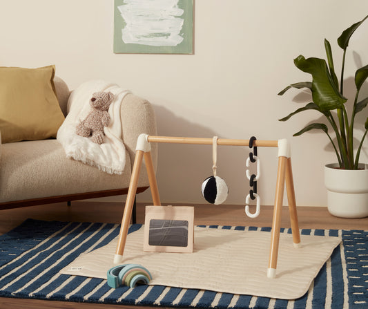 Introducing the Play Gym + Tent
