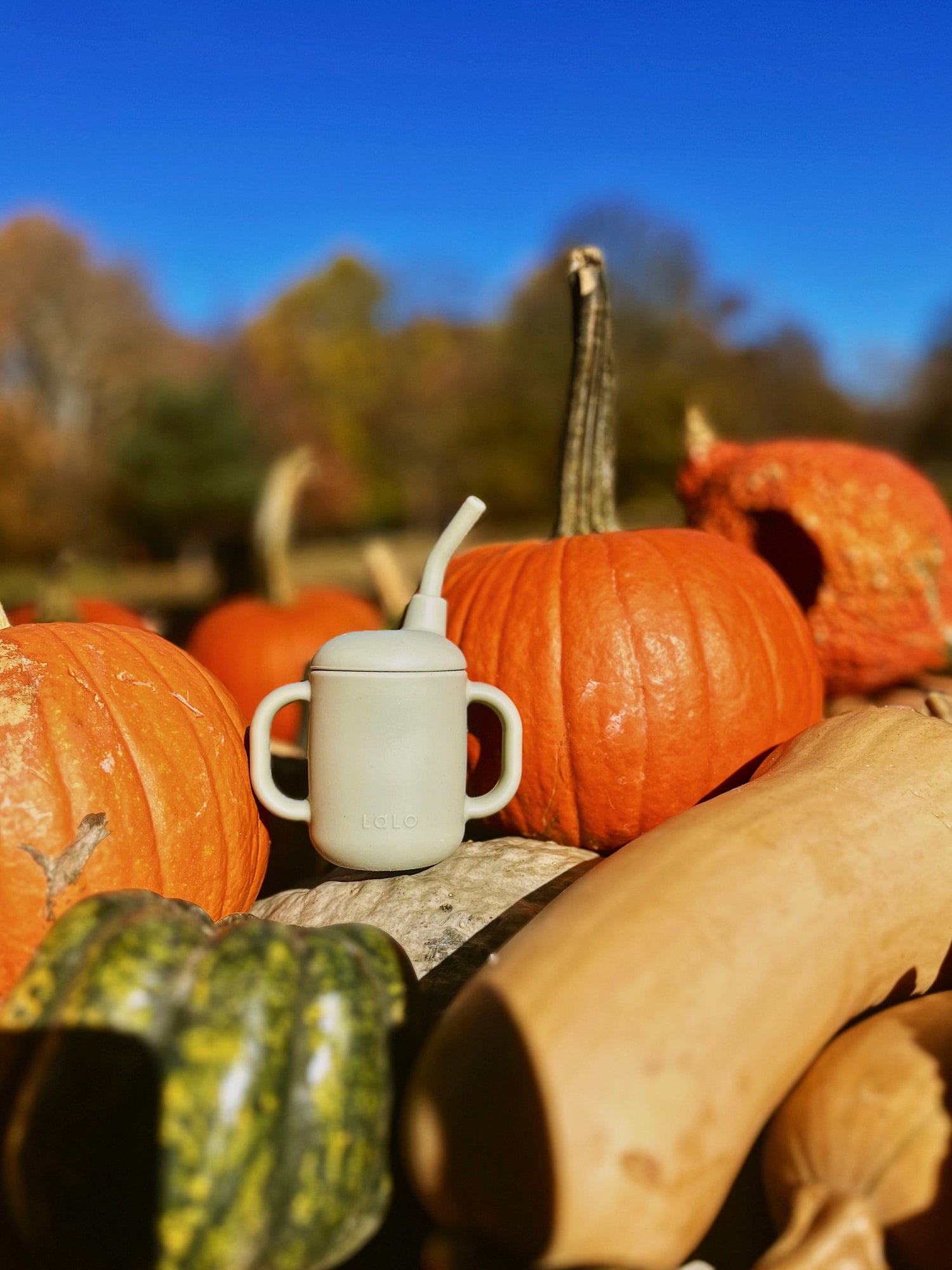 Play Fall Favorites