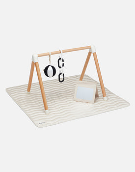 The Play Gym