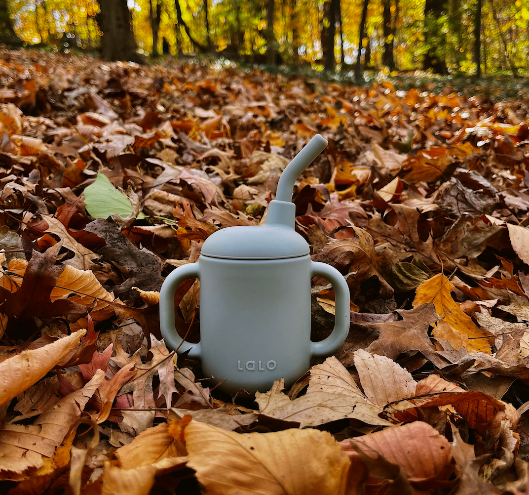 Fall Favorites