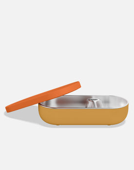 Lil Dipper Snack Box in Citrus Peel