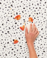 lalo2.0_black-white-terrazzo