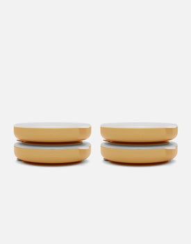Suction Plate + Lid