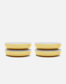 Suction Plate + Lid