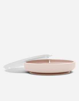 Suction Plate + Lid