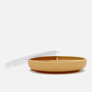 Suction Plate + Lid in Honey / 1 Pack