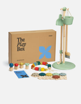 The Play Boxes in 22-24 Months