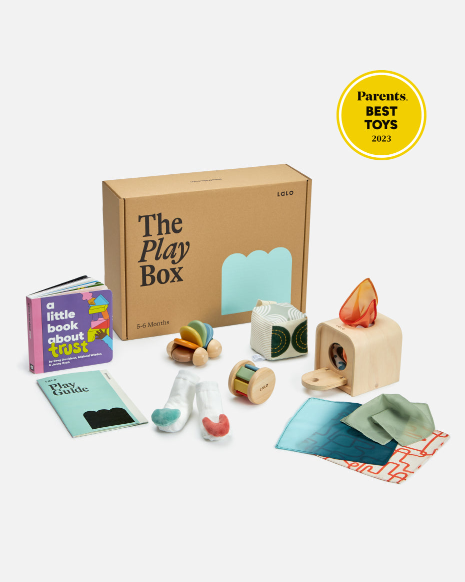 The Play Box: 5-6 Months