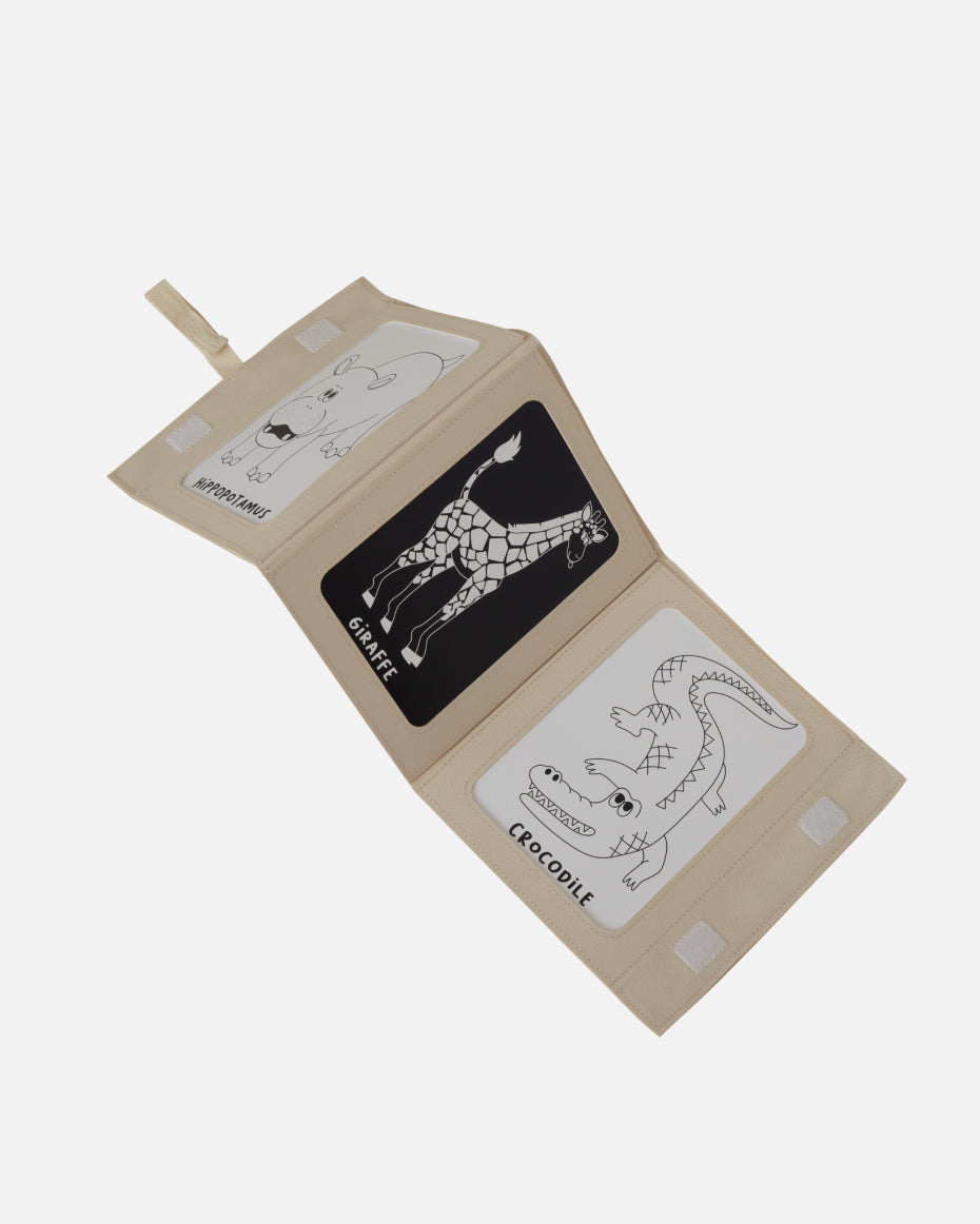 lalo2.0_safari-animals