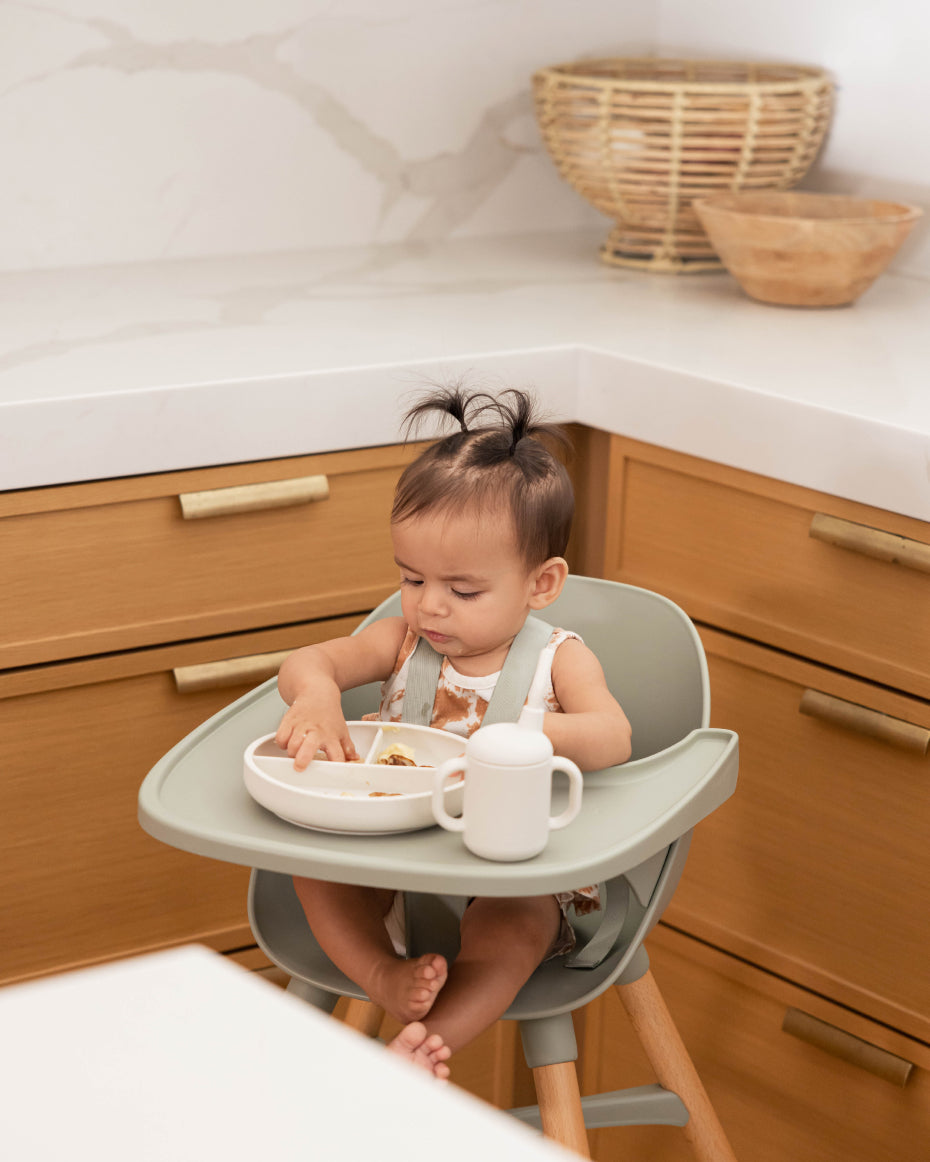 The Chair First Bites Full Kit