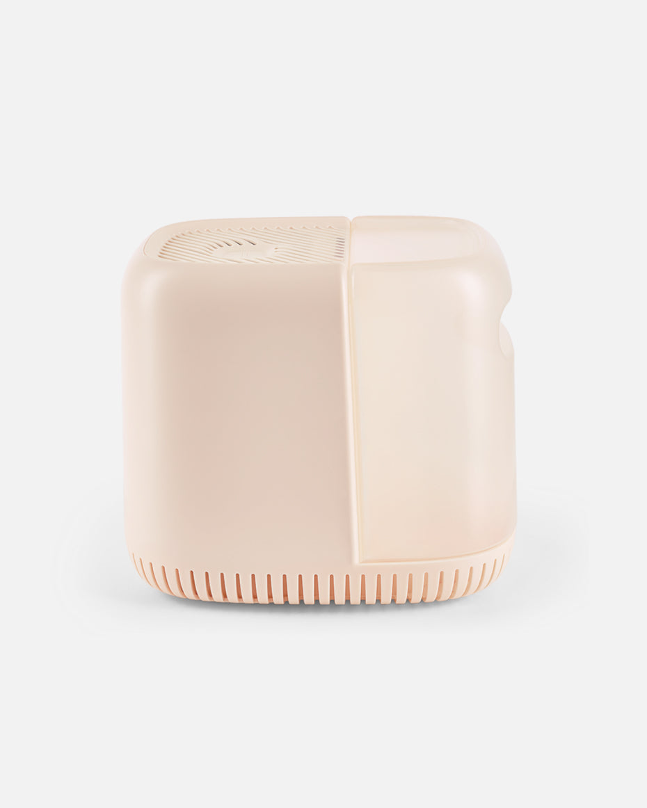 lalo2.0_blush