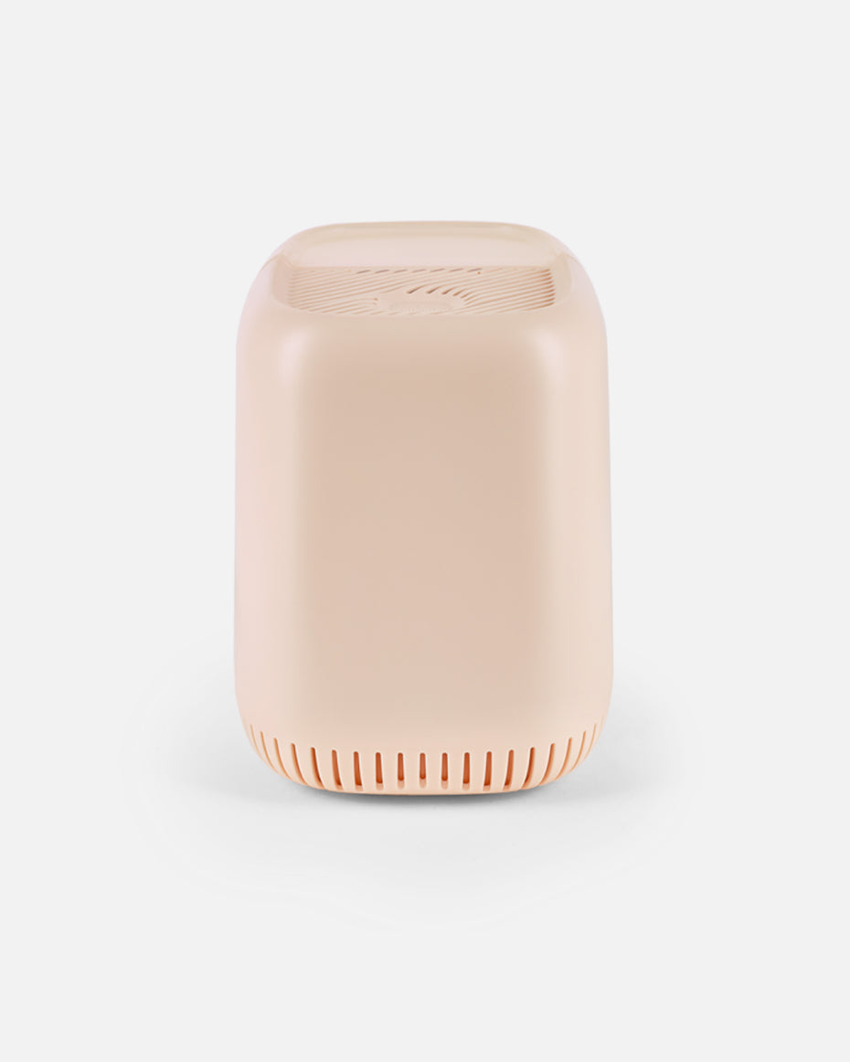 lalo2.0_blush