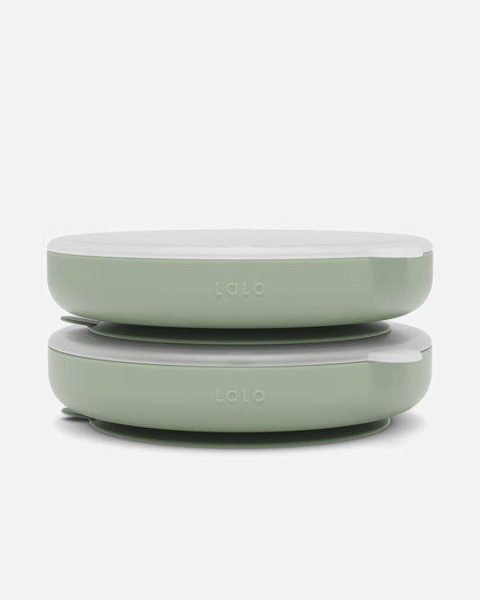 Suction Plate + Lid