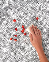 lalo2.0_licorice-scattered-dot