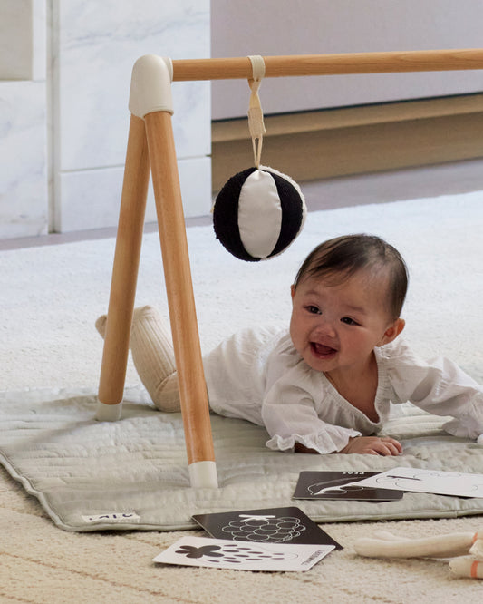 Sensory Ball