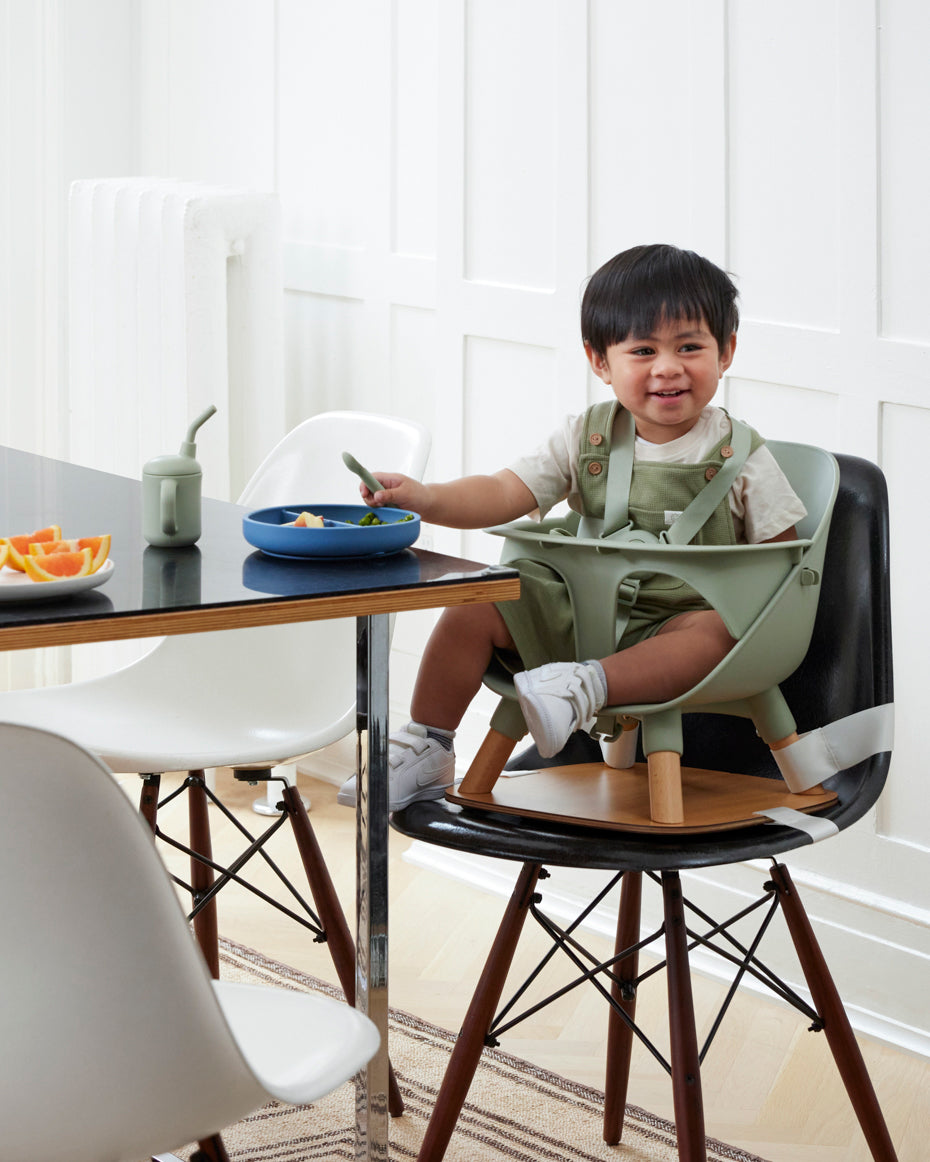 The 4 Best Table Booster Seats